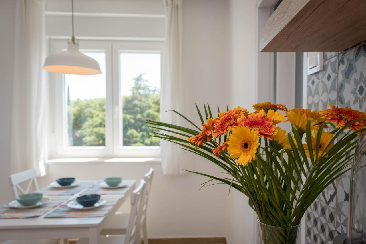 Nona Mileva Apartment بولا المظهر الخارجي الصورة